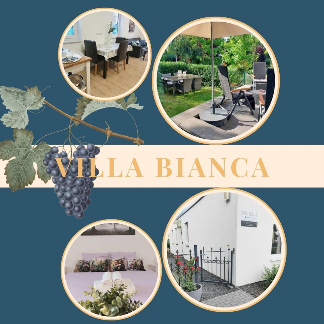 Villa Bianca - Holiday & Business Elsenfeld Ngoại thất bức ảnh